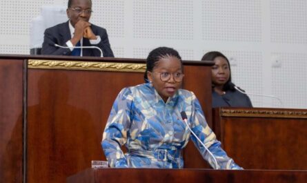 Togo, Sécurité, emploi, agriculture, les priorités, nouveau gouvernement