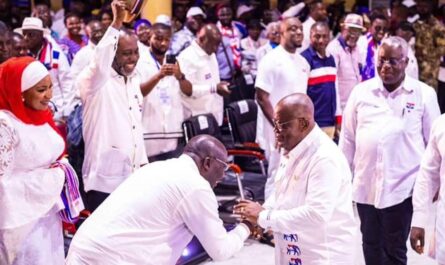 NPP, Présidentielle au Ghana, Nana Akufo-Addo, Campagne, Mahamudu Bawumia 